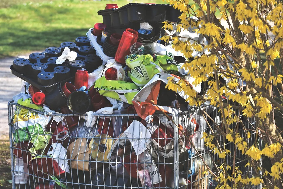 Kent Recycling Rules Explained: Which Bin, Which Week and What Actually Gets Recycled